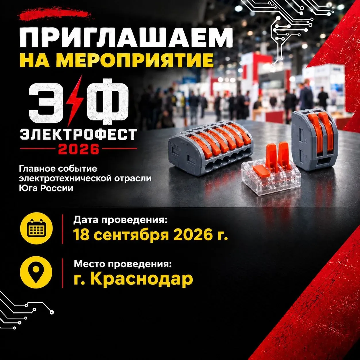 Приглашаем на "Электрофест" в г. Краснодар